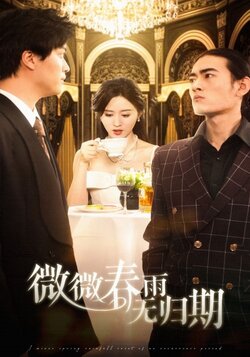 微微春雨无归期