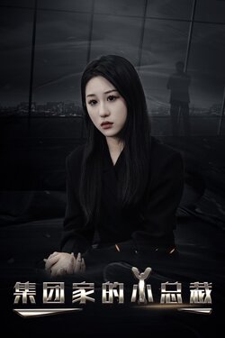 集团家的小总裁