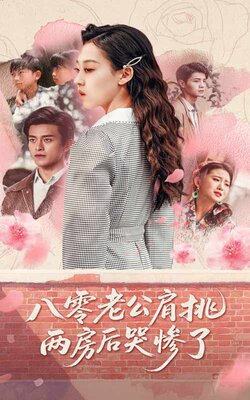 八零老公肩挑两房后哭惨了海报