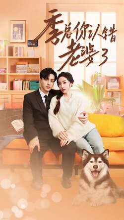 季总你认错老婆了海报