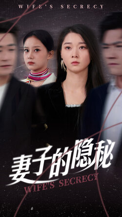 妻子的隐秘海报