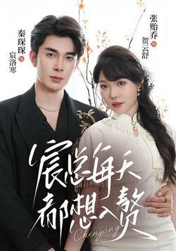 宸总每天都想入赘海报