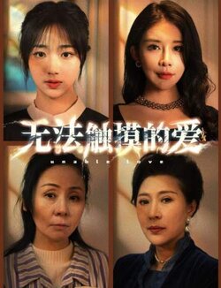 无法触摸的爱海报