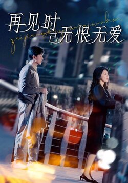 再见时已无恨无爱海报