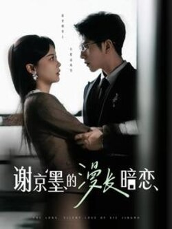 谢京墨的漫长暗恋海报