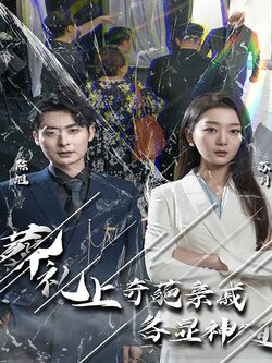 葬礼上奇葩亲戚各显神通海报