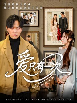 爱只有一次海报