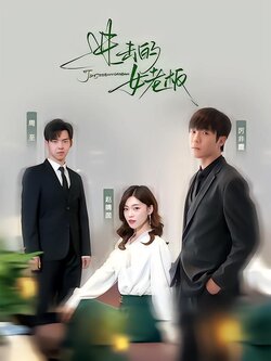 进击的女老板海报