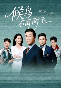 候鸟不再南飞海报