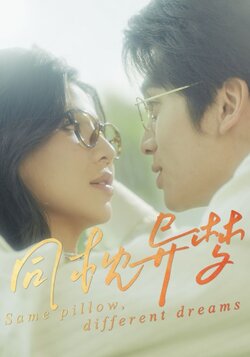同枕异梦海报