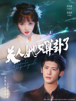 夫人她又算卦了