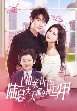 上相亲节目后，陆总天天都在掉马甲海报