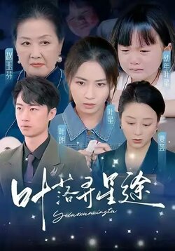 叶落寻星途海报