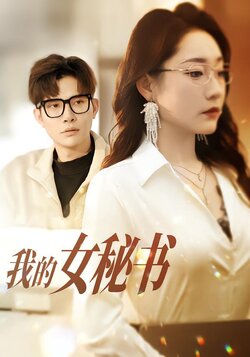 我的女秘书海报