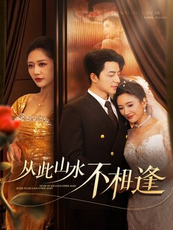 从此山水不相逢海报