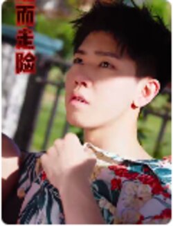 铤而走险$步步高升$幸福人生