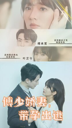 傅少娇妻，带孕出逃