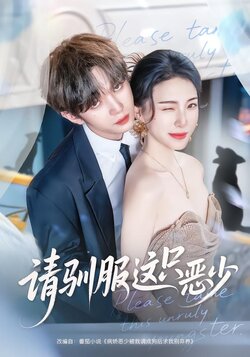 请驯服这只恶少海报