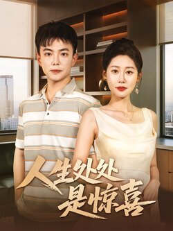 人生处处是惊喜海报