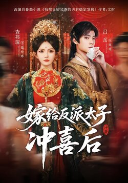 嫁给反派太子冲喜后