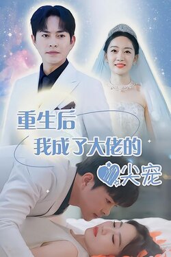 重生后我成了大佬的心尖宠