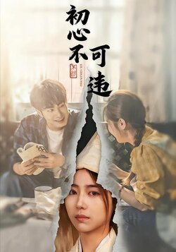 初心不可违海报