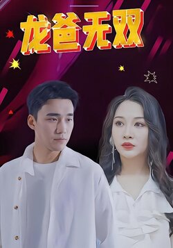 龙爸无双海报