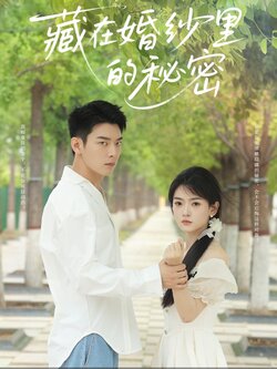 藏在婚纱里的秘密