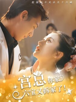 宫总，你家六宝又拆家了