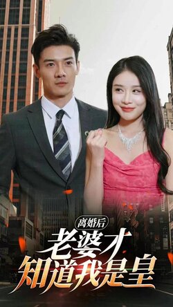 12、离婚后，老婆才知我是皇海报