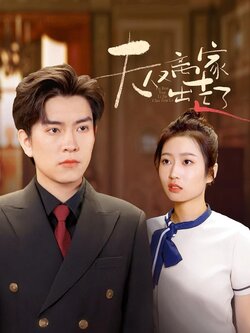 夫人又离家出走了