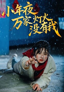 小年夜万家灯火没有我海报