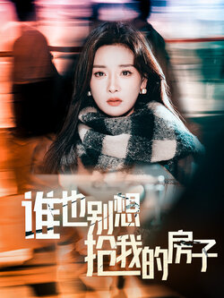 谁也别想抢我的房子海报