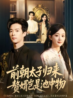 前朝太子归来，赘婿岂是池中物海报