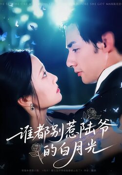 谁都别惹陆爷的白月光海报
