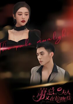 萧总，夫人又在拍吻戏