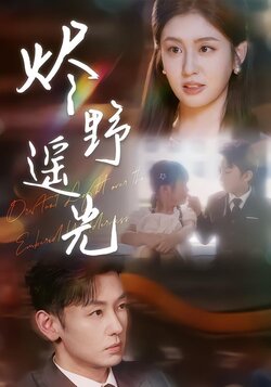 烬野遥光海报