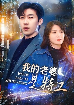 我的老婆是特工