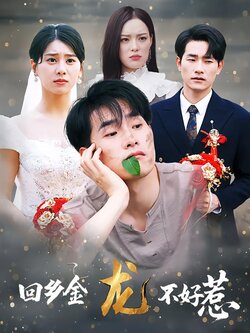 回乡金龙不好惹