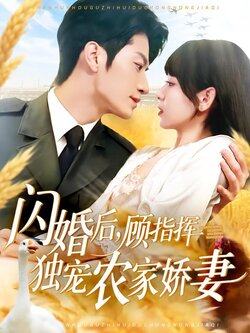闪婚后，顾指挥独宠农家娇妻