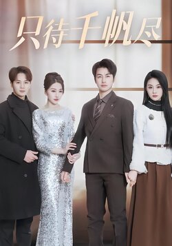 只待千帆尽海报