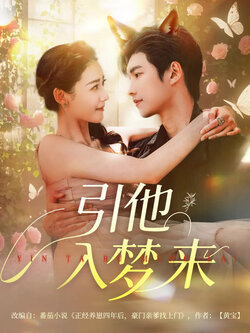 引他入梦来