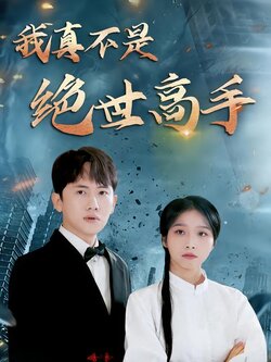 我真不是绝世高手海报