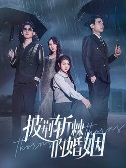 披荆斩棘的婚姻