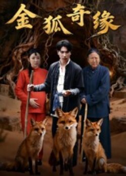 金狐奇缘