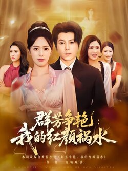 群芳争艳：我的红颜祸水海报
