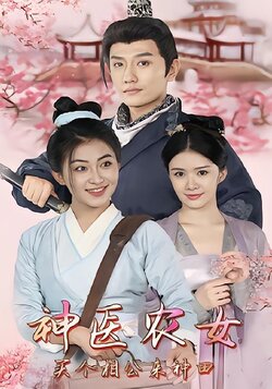 神医农女：买个相公来种田海报