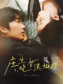 庄生晓梦迷蝴蝶海报