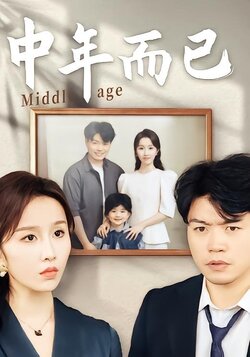 中年而已海报