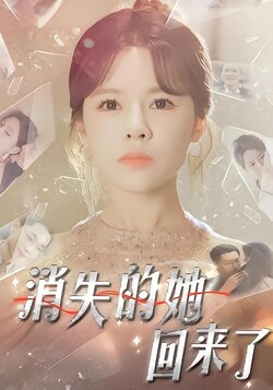 消失的她回来了海报